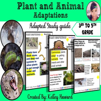 Preview of Plant and Animal Adaptations