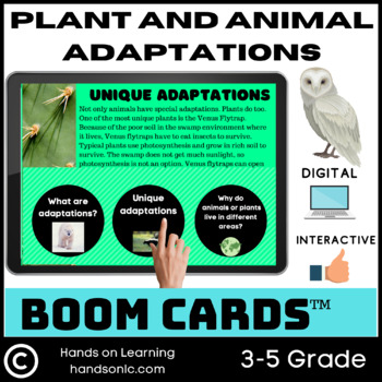 Animal Adaptations Drag 3rd Teaching Resources | TPT
