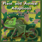 Plant and Animal Adaptations: Next Generation Science 4-LS1-1