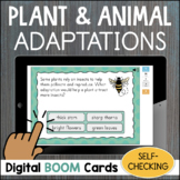 3rd Grade Plant & Animal Adaptations Behavior Survival Sci