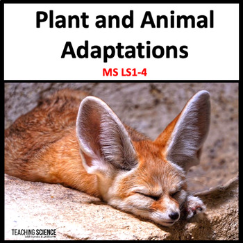 Preview of Plant and Animal Adaptations Structure and Function of Living Things - MS LS1-4