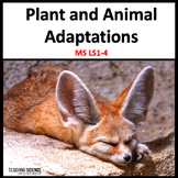 Plant and Animal Adaptations Structure and Function of Liv