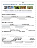 Plant and Animal Adaptations WebQuest