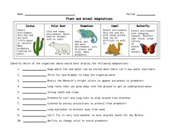 plant and animal adaptations worksheet by windham science tpt