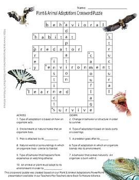 Plant and Animal Adaptations for Survival Crossword Puzzle | TpT