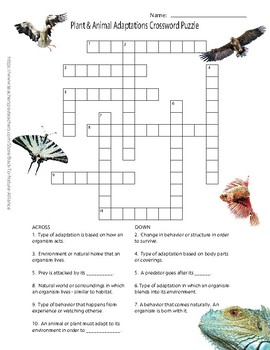 Preview of Plant and Animal Adaptations for Survival Crossword Puzzle