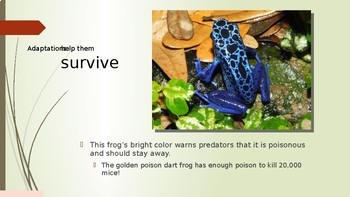 Plant and Animal Adaptations for Survival PowerPoint | TPT
