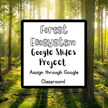 Plant and Animal Adaptations in the Forest Google Slide Project | TPT