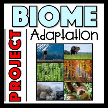 Preview of Plant and Animal Adaptations to Different Biomes