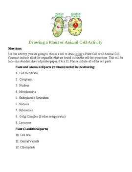 Preview of Plant and Animal Cell Project with Grading Rubric and Student Self Checklist