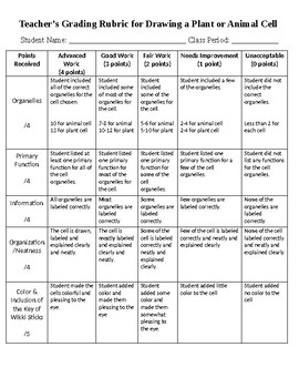 Plant and Animal Cell Project with Grading Rubric and Student Self Checklist