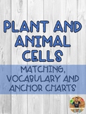 Plant and Animal Cell Activties- Matching/Fill in the Blan