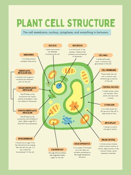 Plant and Animal Cell Biology Posters for Science Classroom | TPT