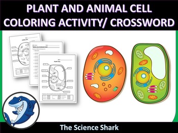 Preview of Plant and Animal Cell Coloring Activity/ Crossword