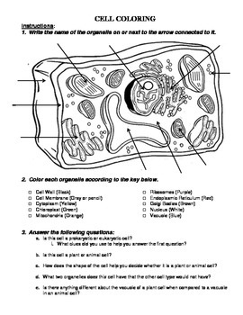 Plant and Animal Cell Coloring with Analysis Questions | TPT
