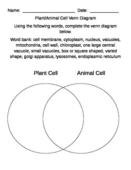 Plant and Animal Cell Comparison using Venn Diagram by MrsDonovan