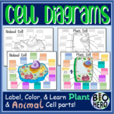 Plant and Animal Cell Diagrams