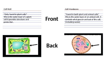 Plant and Animal Cell Flashcards Warm ups by Valerie Rios | TPT