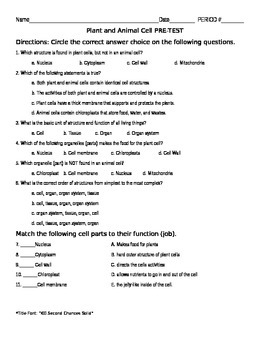 5th grade cells worksheet
