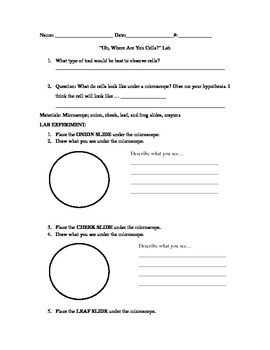 Preview of Plant and Animal Cell Lab Sheet