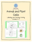 Plant and Animal Cell Labeling Activity