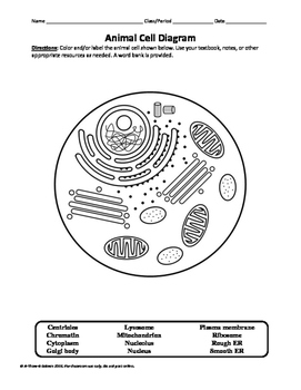 Plant and Animal Cell Labeling Diagrams by A-Thom-ic ...