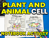 Label the Plant and Animal Cell Worksheet (Notebook Activity)