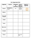 Plant and Animal Cell Organelle Activity