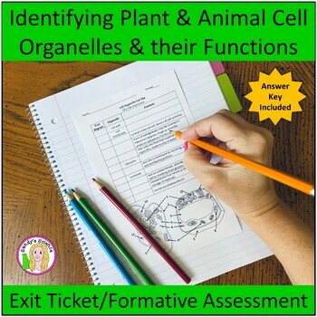 Preview of Plant and Animal Cell Organelle Exit Ticket