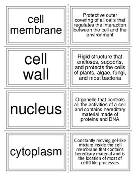 Plant And Animal Cell Organelle Flashcards By Catherine Love Tpt