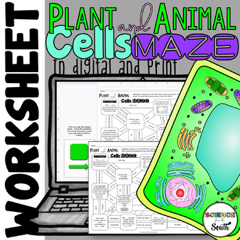 Preview of Plant and Animal Cell Organelles Structures and Functions Maze Worksheet