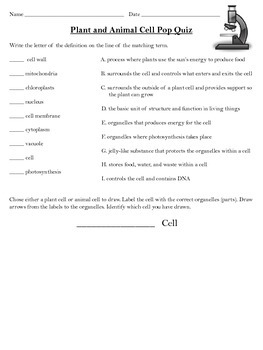 Plant and Animal Cell Pop Quiz by Denise Bryant | TPT