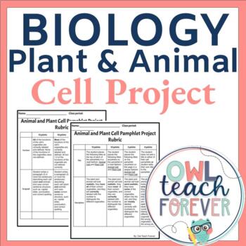 animal cells and plant cells projects