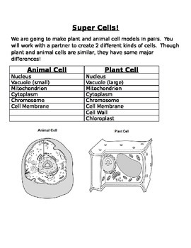 Plant and Animal Cell Project with Rubric by Meghan Nolan | TPT