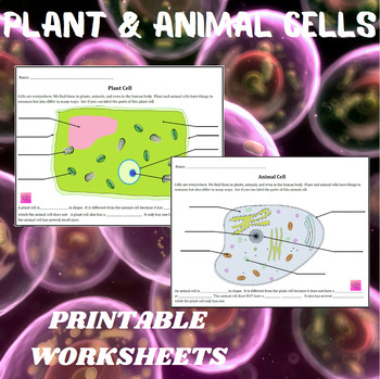 Preview of Plant and Animal Cell Science Worksheet