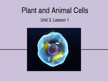 Plant and Animal Cell Structures Powerpoint and Guided Notes by Amanda Behen