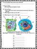 Plant and Animal Cell Test by Tucker's Teaching Tools | TpT