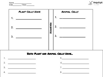 Preview of Plant and Animal Cell Top Hat English and Spanish
