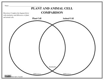 Plant and Animal Cell Venn Diagram by Innovative Teacher | TpT