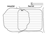 Plant and Animal Cell Venn Diagram Worksheet
