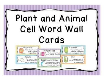 Preview of Plant and Animal Cell Word Wall