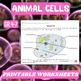 Plant and Animal Cell Worksheet by Innovative Teacher | TpT