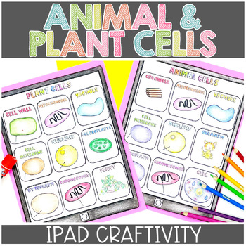 Preview of Animal and Plant Cells Review | Plant and Animal Cells | Vocabulary Craftivity