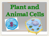 Plant and Animal Cells Powerpoint