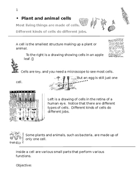 Preview of Plant and Animal Cells