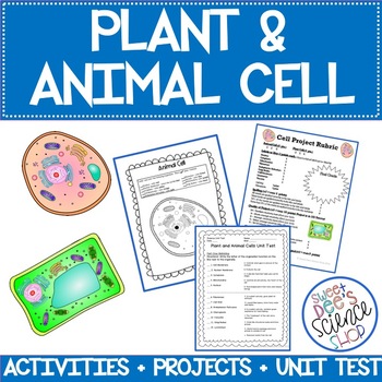 Plant and Animal Cells Activities, Project and Test by Sweet Dee's ...