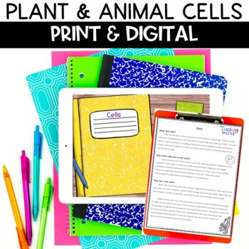 Preview of Plant and Animal Cells Activity