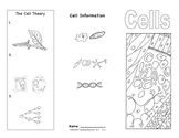 Plant and Animal Cells Brochure  Ce-1