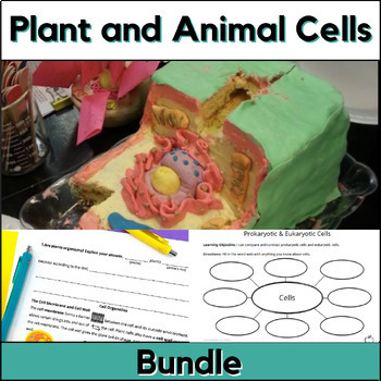 Preview of Plant and Animal Cells BUNDLE - Reading Comprehension | Projects | Activities