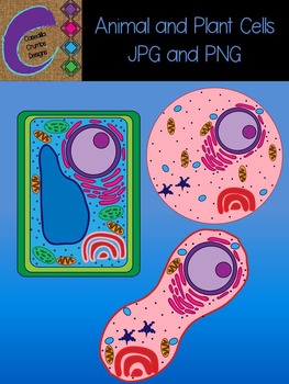 Preview of Plant and Animal Cells Cell Clip Art Pictures Science JPG and PNG FREE